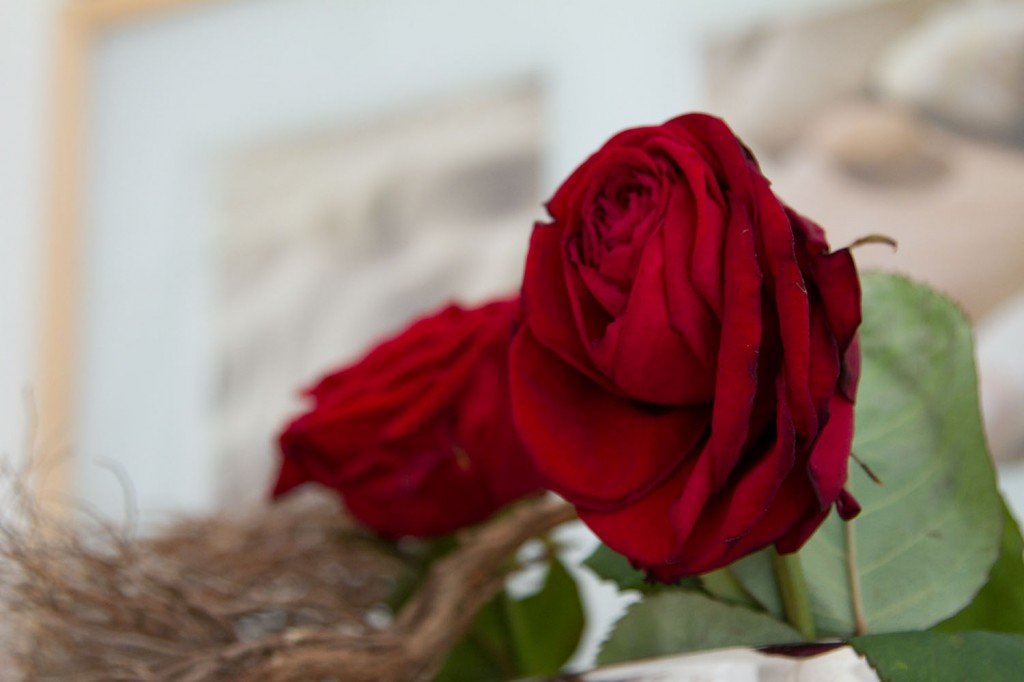 IMG_2865003 IMG_2865003