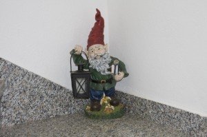 IMG_5659