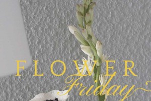 Flower Friday: Anemone, Tuberose, Weinflasche