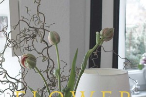 Flower-Friday: Tulpen & Trommelstöckchen