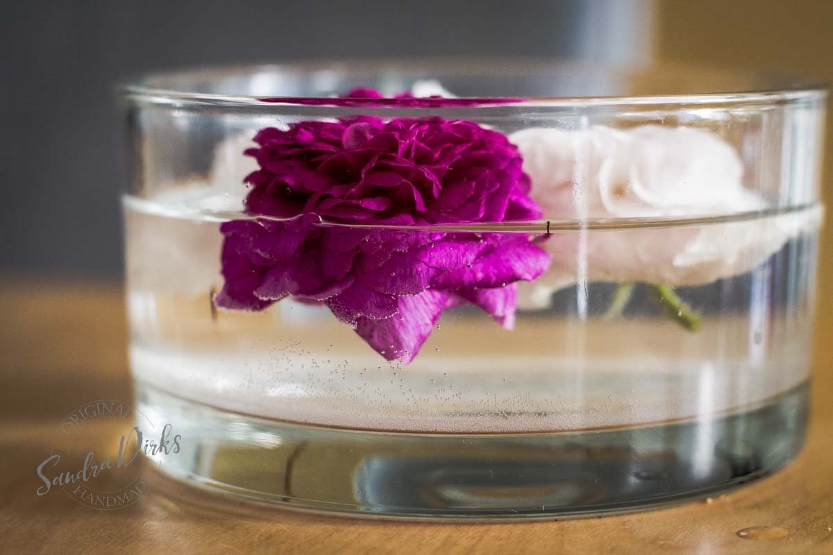 Friday Flowerday Rosenernte (22 von 36)