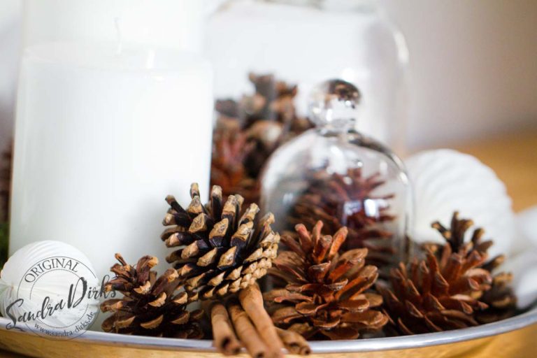Sandra Dirks - Adventsgesteck mit Tannenzapfen in Glasglocke