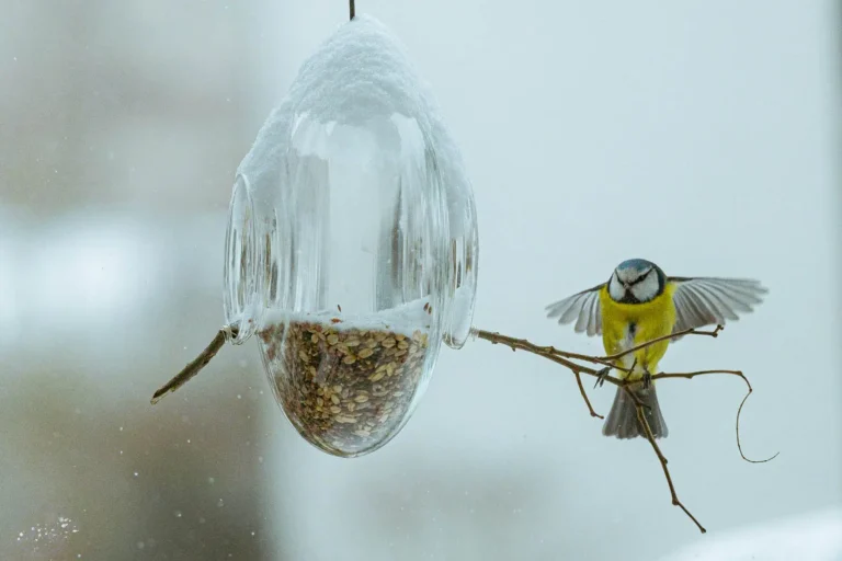 Der Winter ist da!