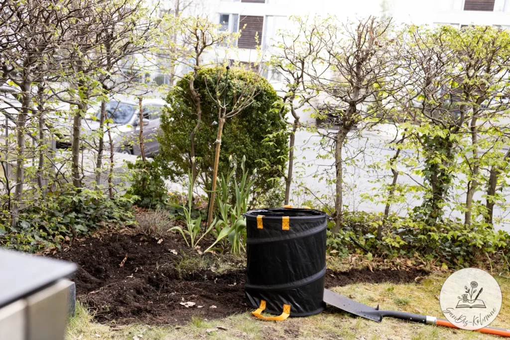 Schwarzer Pop-up-Gartensack mit gelben Griffen steht im frisch umgegrabenen Vorgartenbeet neben Tulpen und Buchskugel
